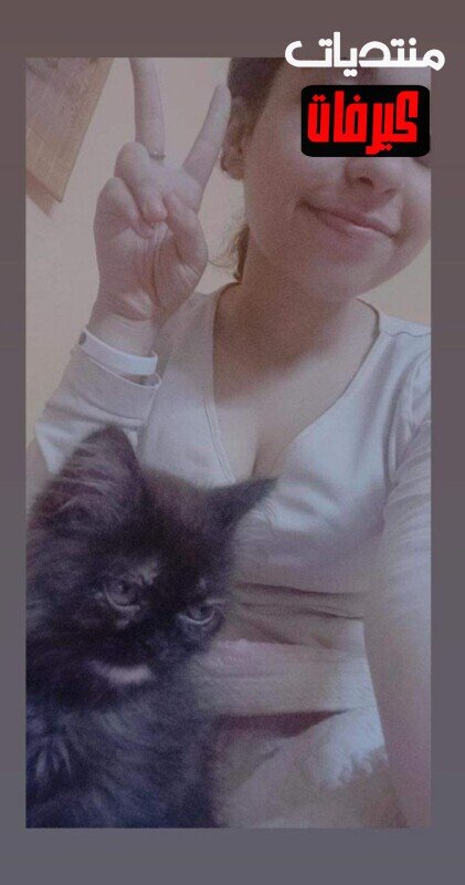 photo 5897823617872411619 y