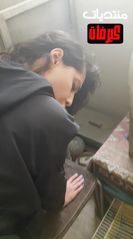 photo 5947080171133713922 y