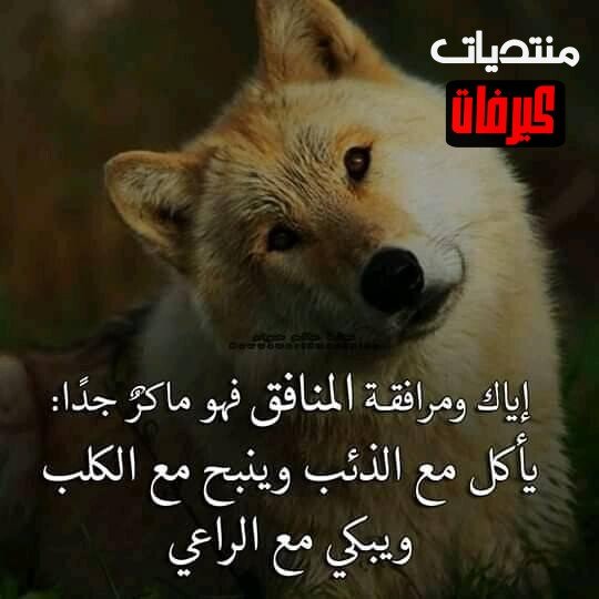 131383475 133064771913814 5357942138774351814 n