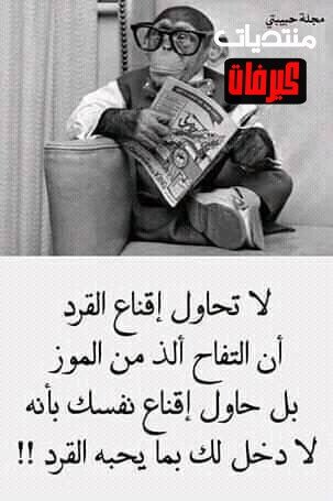 151035647 172898261263798 3011105135362242618 n