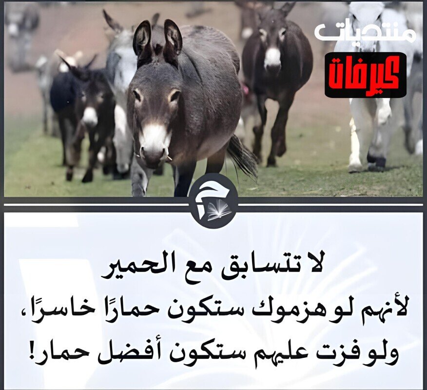 152926846 174644794422478 243485663408116501 n ٠٣٤٤٤٨