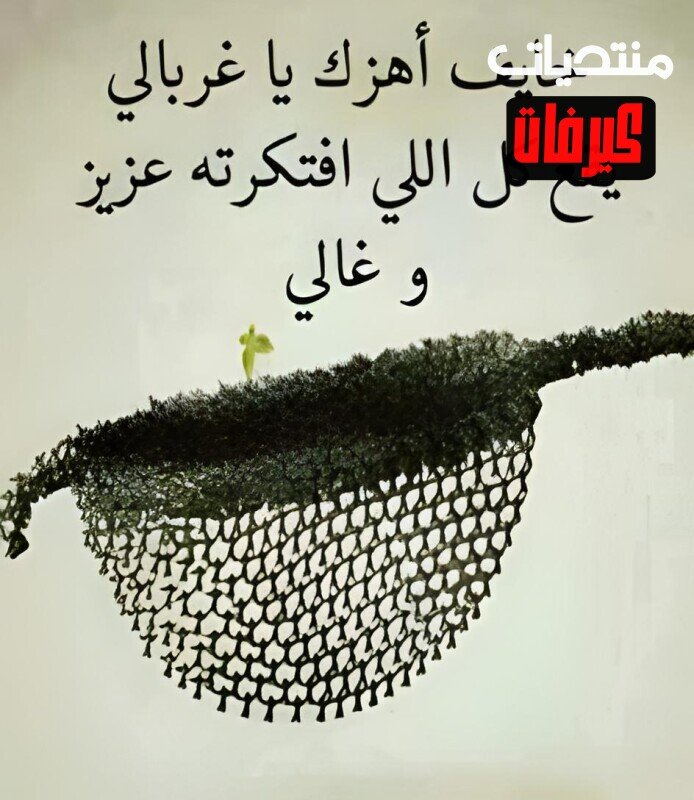 3662f43a37ffc94f7ea12dfbf3ae117f ٠٥٥٣١١