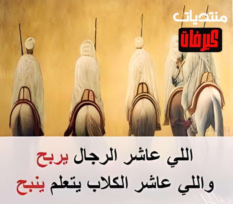 18217007 1253048388137875 672231812 n copy ٠٧٥١١٦