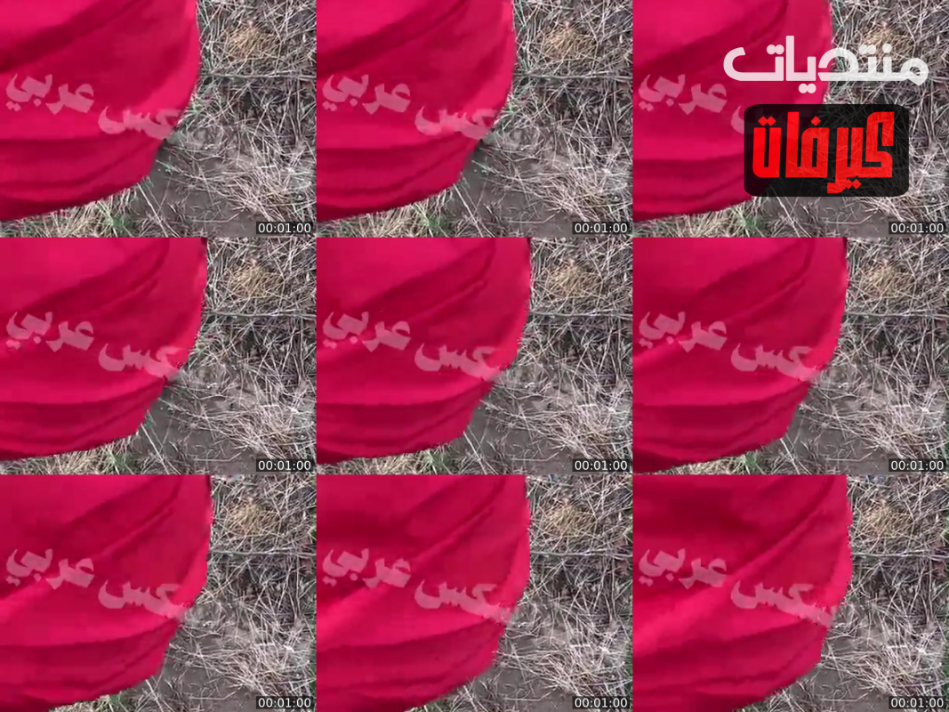 سكس مصري بلدي ناار واخد البت في الغيط تمص زبره وينيكها في كسها واهاات ناار حصري