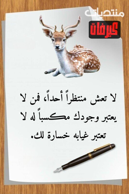 608246818 1467884125339246 4506387963838476099 n ٢٠٢٦ ٠٧ ١٠ ١١ ٤٣ ٤٩