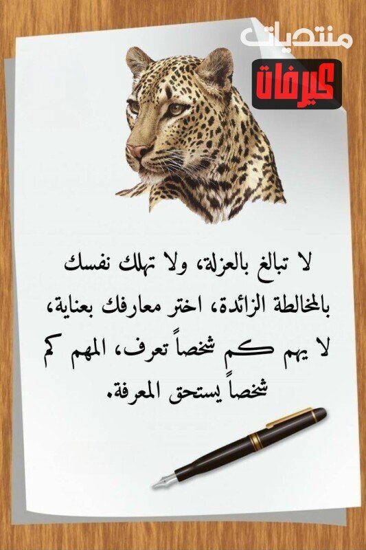 608469298 1467936262000699 226334593899953351 n ٢٠٢٦ ٠٧ ١٣ ٢٠ ٠٢ ٢١