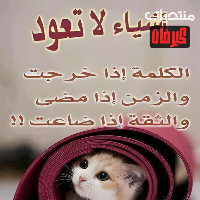 608514364 2320078425163683 6796120204352403526 n ٠٧٥٧٠٥