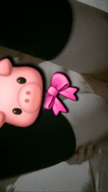 _843a6f69efd4aed2.gif