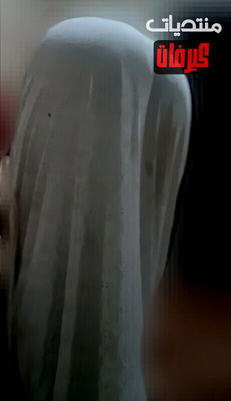 IMG__b0c40dca9d274b51.jpg